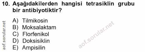 Soru 10
