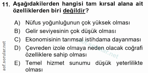 Soru 11