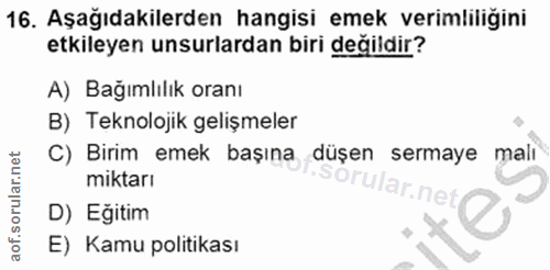 Soru 16
