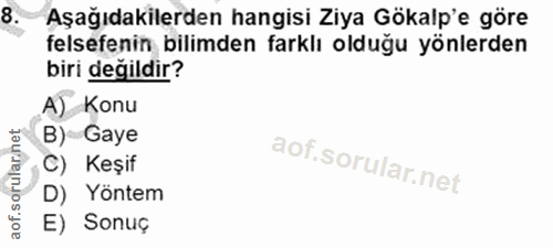 Soru 8