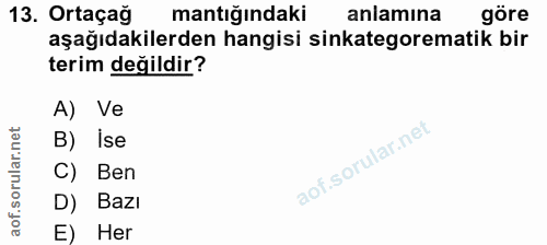 Soru 13