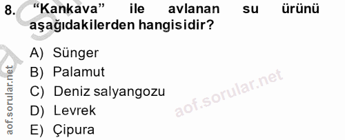 Soru 8