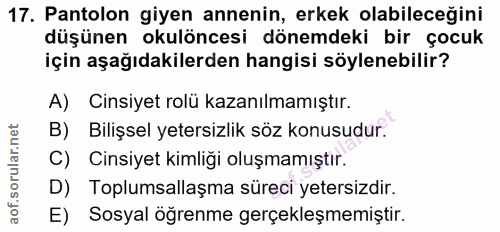 Soru 17