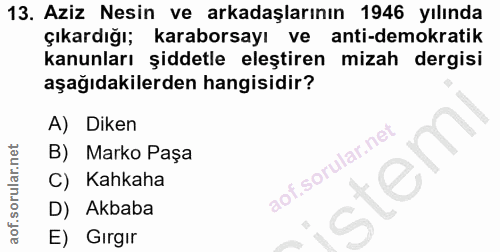 Soru 13