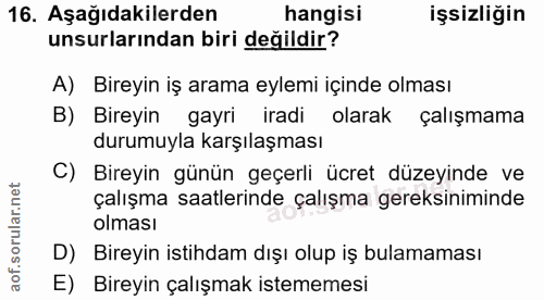 Soru 16