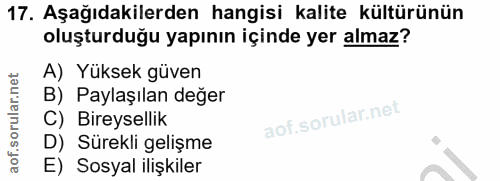 Soru 17