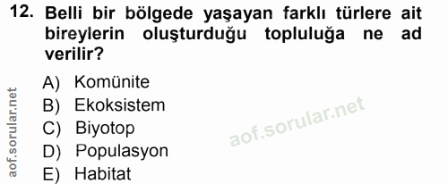 Soru 12
