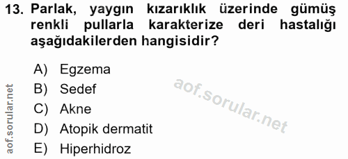 Soru 13