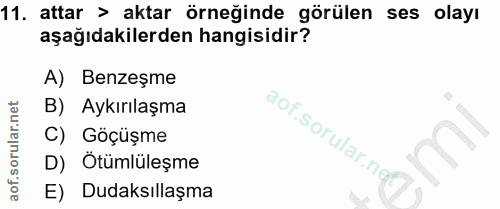 Soru 11