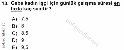 Soru 13