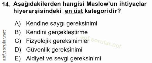 Soru 14