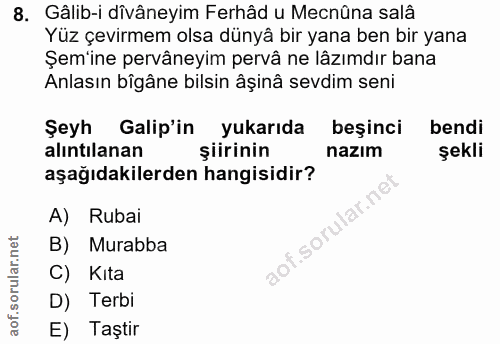 Soru 8