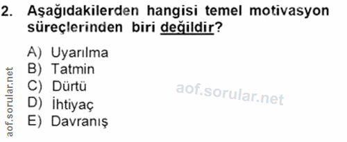 Soru 2