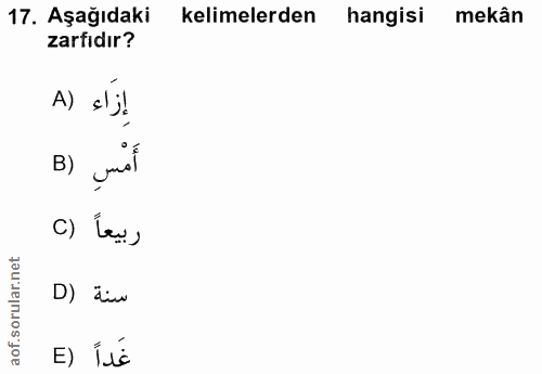 Soru 17