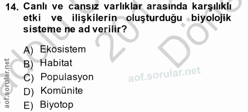 Soru 14