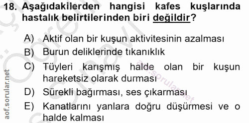 Soru 18