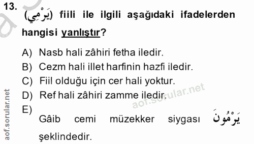 Soru 13
