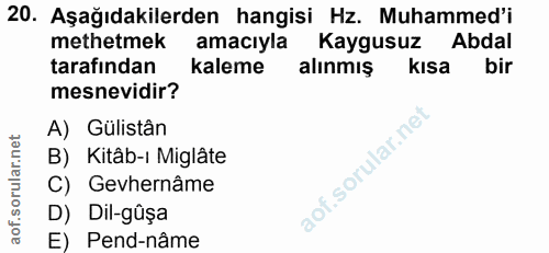 Soru 20