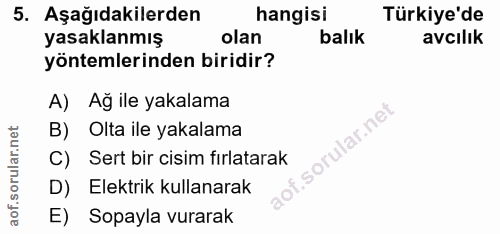 Soru 5