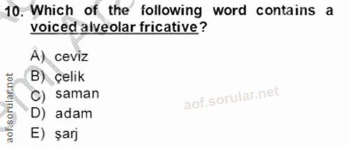 Soru 10