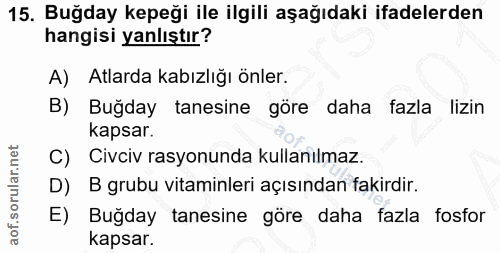 Soru 15
