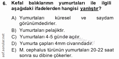 Soru 6