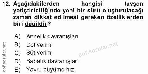 Soru 12