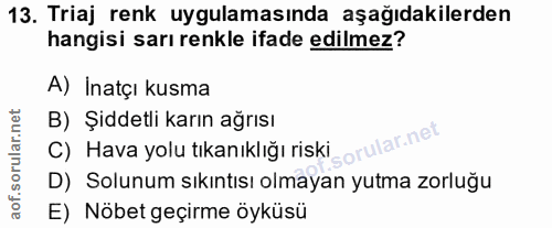 Soru 13