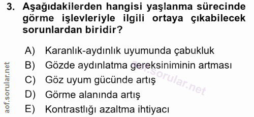 Soru 3