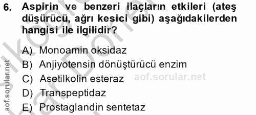 Soru 6