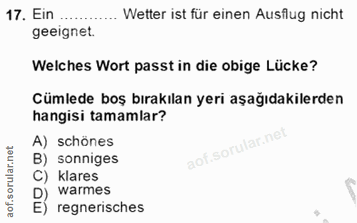 Soru 17