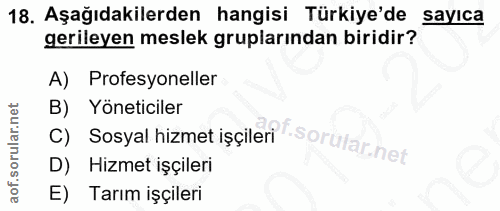 Soru 18