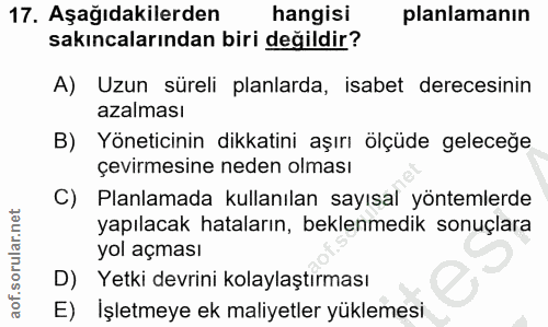 Soru 17