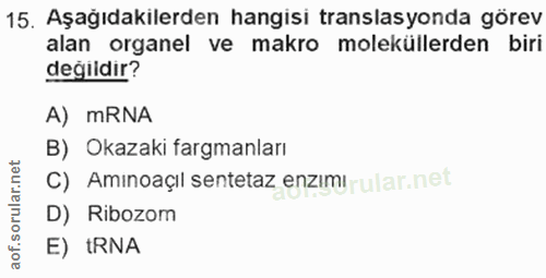 Soru 15