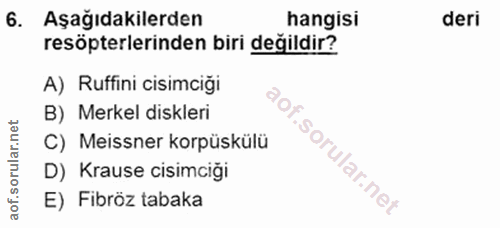 Soru 6