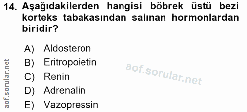 Soru 14