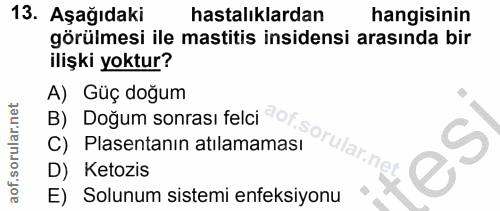 Soru 13