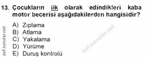 Soru 13