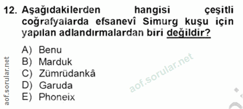 Soru 12