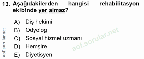 Soru 13
