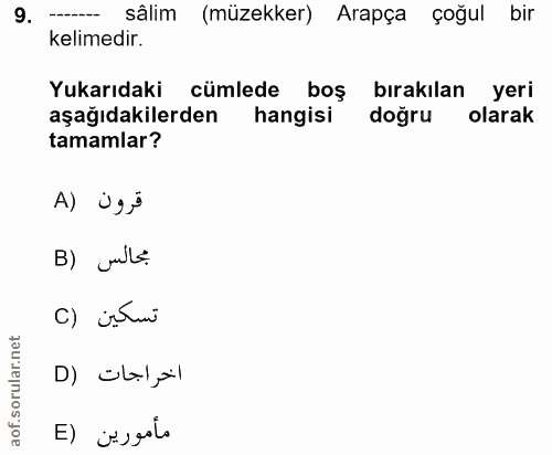 Soru 9