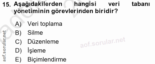 Soru 15