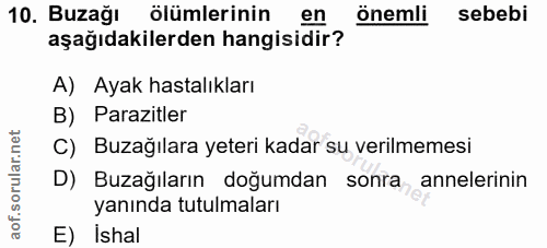 Soru 10