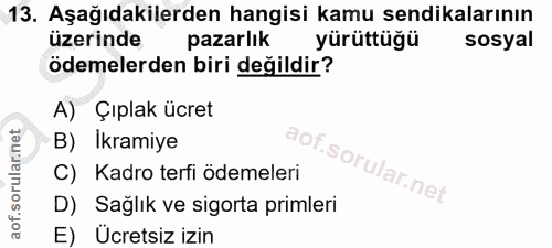 Soru 13