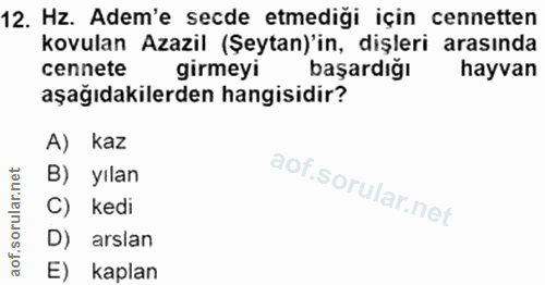Soru 12