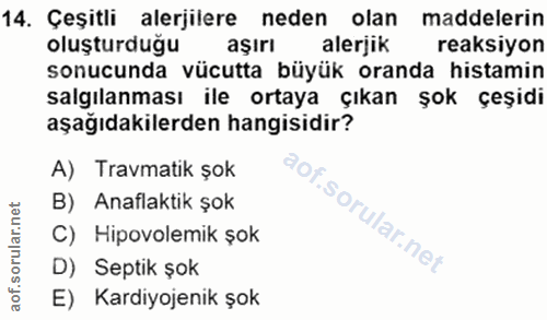 Soru 14