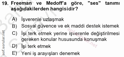 Soru 19