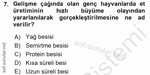 Soru 7