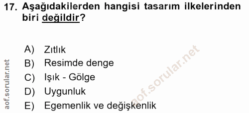 Soru 17