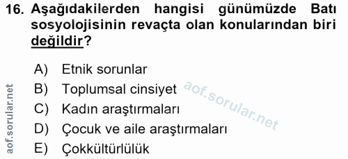 Soru 16